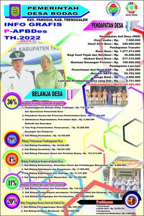 PERUBAHAN ANGGARAN PENDAPATAN DAN BELANJA DESA (P-APBDes) TAHUN 2022